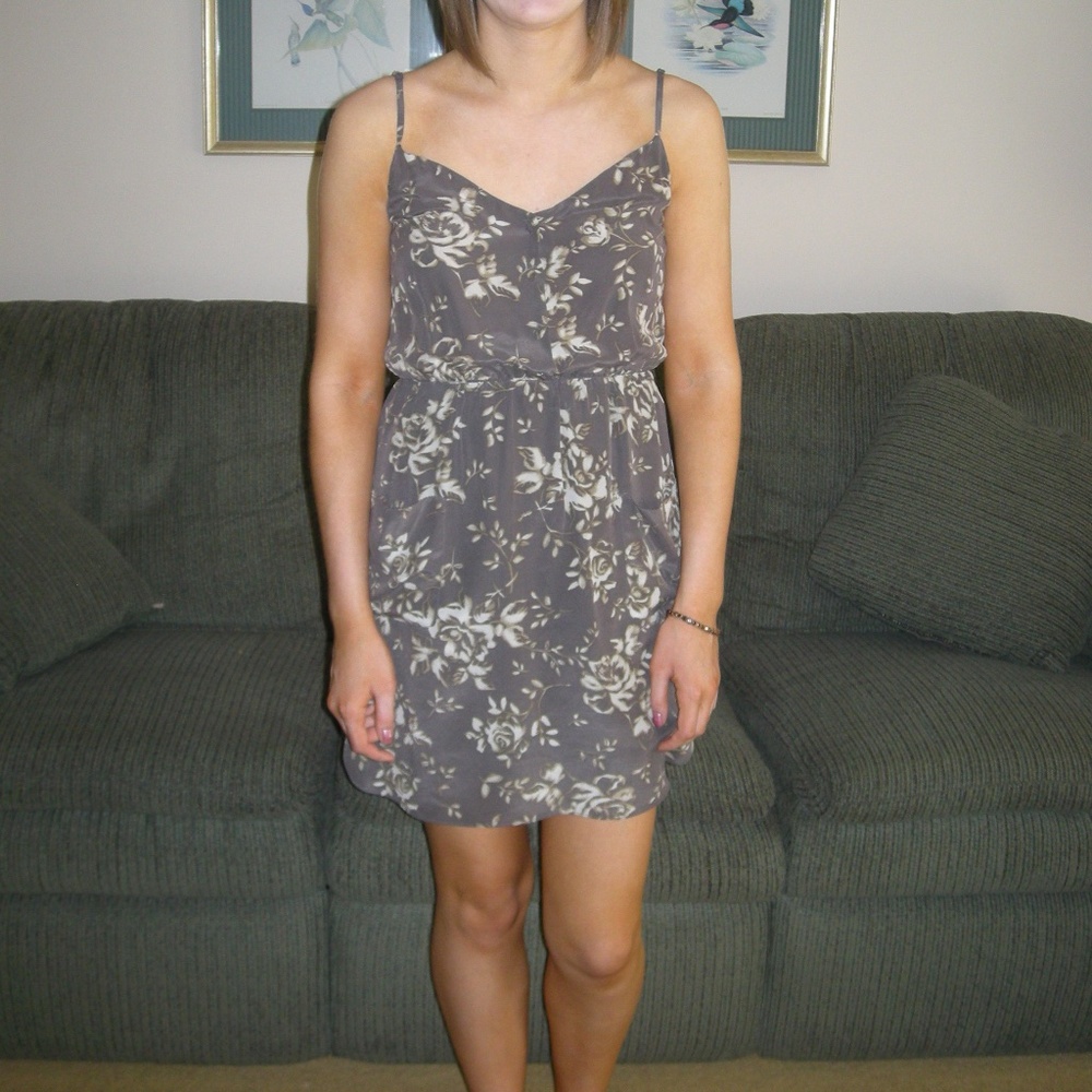 Aritzia Babaton Mini Silk Dress